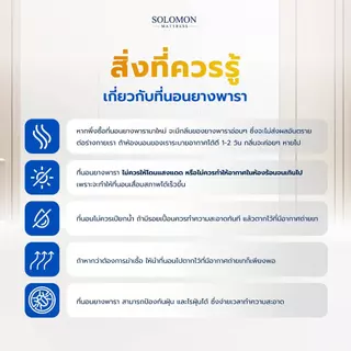 Solomon ที่นอนยางพาราแท้ รุ่น Sunshine 5 ฟุต หนา 8 นิ้ว ลดปวดหลังดีเยี่ยม