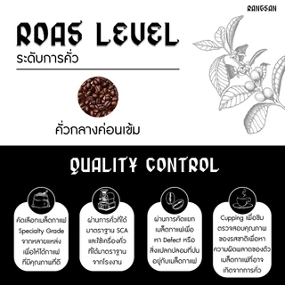 เมล็ดกาแฟ ศรีนวล อาราบิก้า+โรบัสต้า 60/40 คั่วกลางค่อนเข้ม (Rangsan)