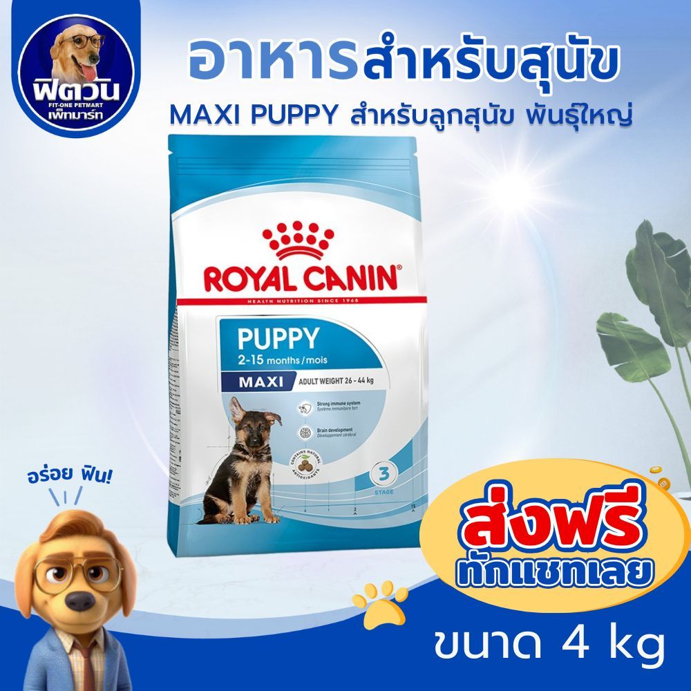 ROYAL CANIN MAXI PUPPY ลูกสุนัขอายุ 2ถึง15 เดือน พันธ์ใหญ่ 26 44 kg. 4 กิโลกรัม{อาหารสุนัขเม็ด}
