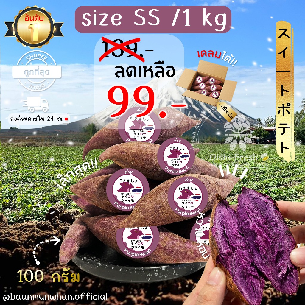 Oishi-Fresh มันหวานญี่ปุ่น 🍠ไซต์ Snack🍠🇹🇭ปลูกไทย🇹🇭 เพอเพิ่ลสวีท แบบดิบ🍠เนื้อเหลืองนุ่ม หอมหวาน1 กก.จ