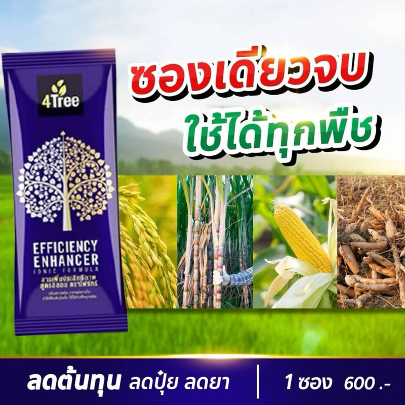 🔥ของแท้ 💯%🔥1 ซอง 4tree โฟร์ทรี สารเพิ่มประสิทธิภาพพืช สูตรอิออน