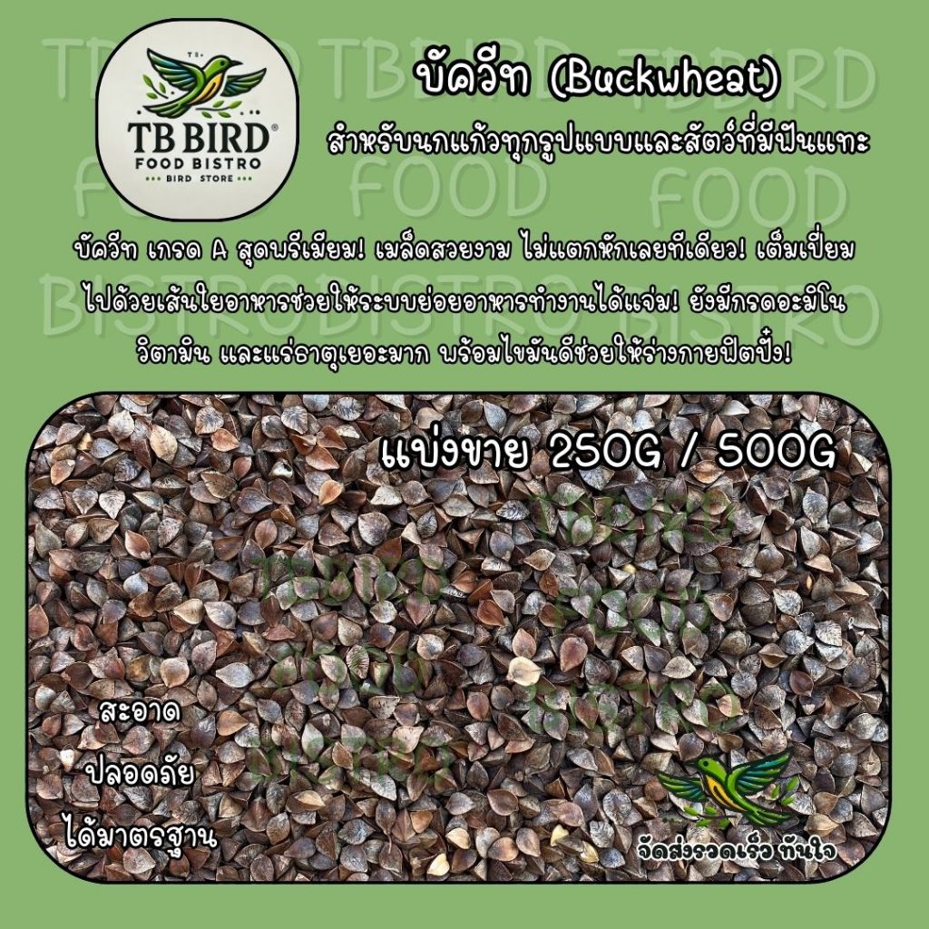 บัควีท Buckwheat เกรดA บัควีตอาหารนกแก้ว และสัตว์ฟันแทะ สะอาด ร่อนฝุ่นทุกถุง (แบ่งขาย 250G / 500G / 1KG)