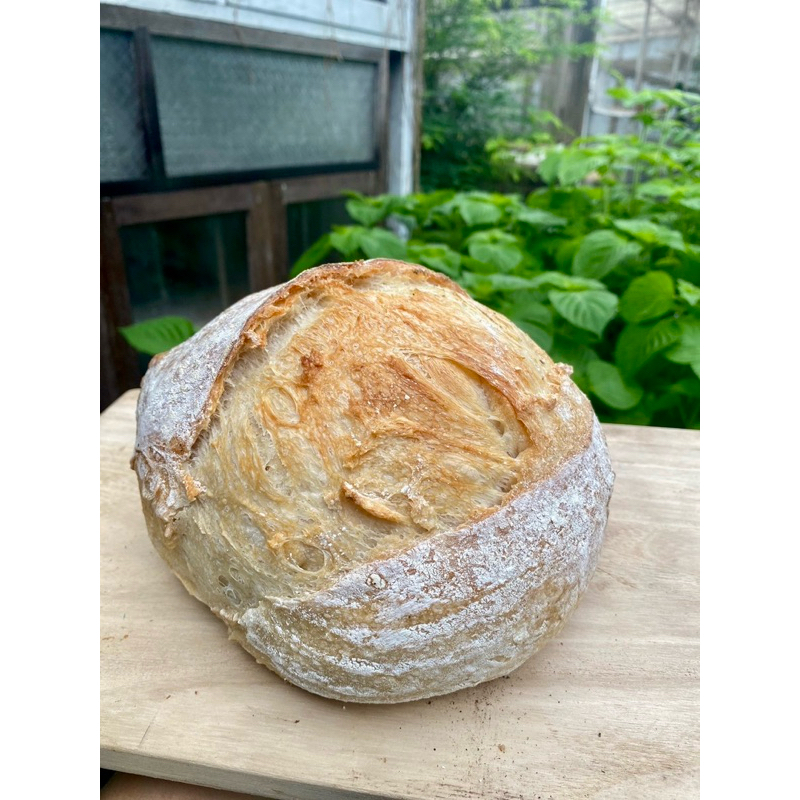 รูปภาพ 2