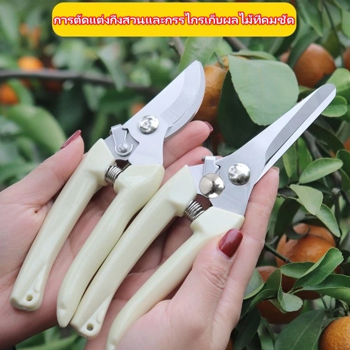 กรรไกรตัดกิ่งไม้สแตนเลสด้ามขาว กรรไกรทำสวน กรรไกรสแตนเลส
