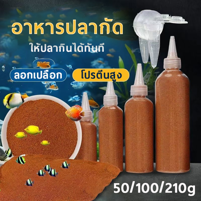 อาทีเมียร์ ลอกเปลือก ไข่อาร์ทีเมีย อาหารปลากัด อาหารลูกปลาทอง ให้ปลากินได้ทันที