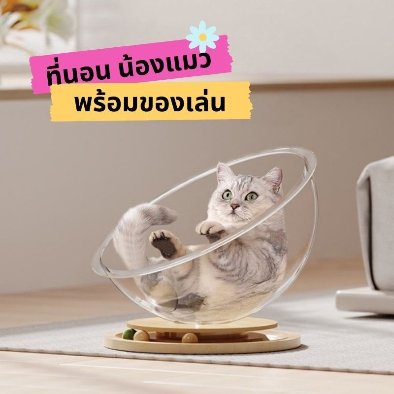 แคปซูลอวกาศแมว แมวเปลรังแมว ของเล่นแมวเตียง BJ2