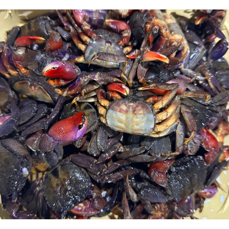 ปูสด ปูปากพนัง ปูเปรี้ยว ปูแสม ปูสำหรับดอง