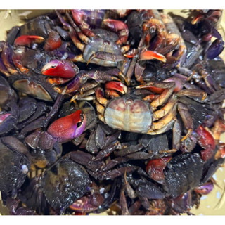 ปูสด ปูปากพนัง ปูเปรี้ยว ปูแสม ปูสำหรับดอง