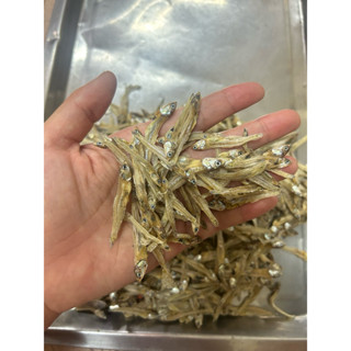 ปลาหัวอ่อนตัวเล็กมีหัว ปลากะตัก ปลาจิ้งจั้ง ปลาไส้ตัน ตากแห้…