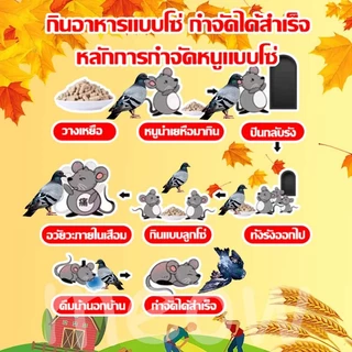 【100% ได้ผล】100g/500g ยากำจัดนกพิราบ ยาเบื่อนก ไล่นก ก้อนไล่นก กำจัดนก เหยื่อกำจัดนกพิราบ เบื่อนกพิราบ ยาฆ่านกพิราบ