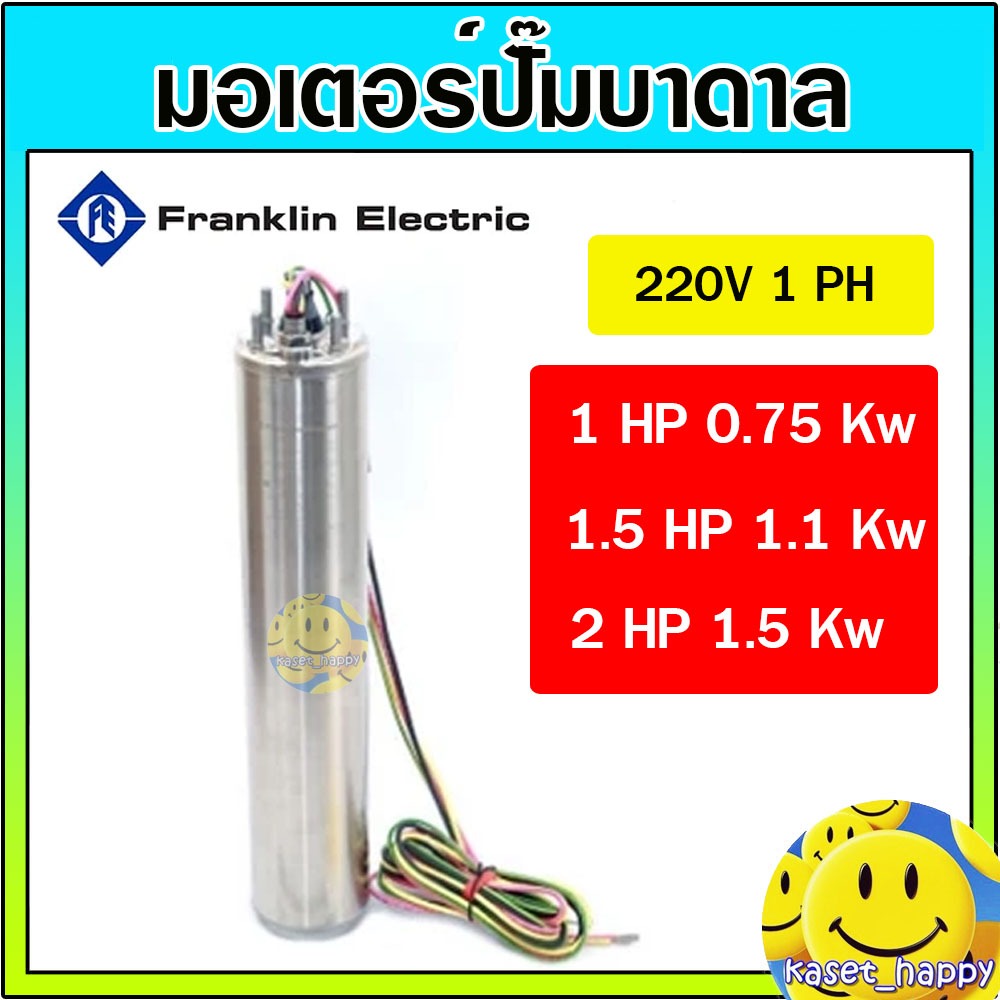 FRANKLIN (แฟรงคลิน) มอเตอร์ ปั๊มน้ำบาดาล ซัมเมอร์ส 1 , 1.5 , 2 แรง ขนาด 4 นิ้ว 1 เฟส 220 โวลต์