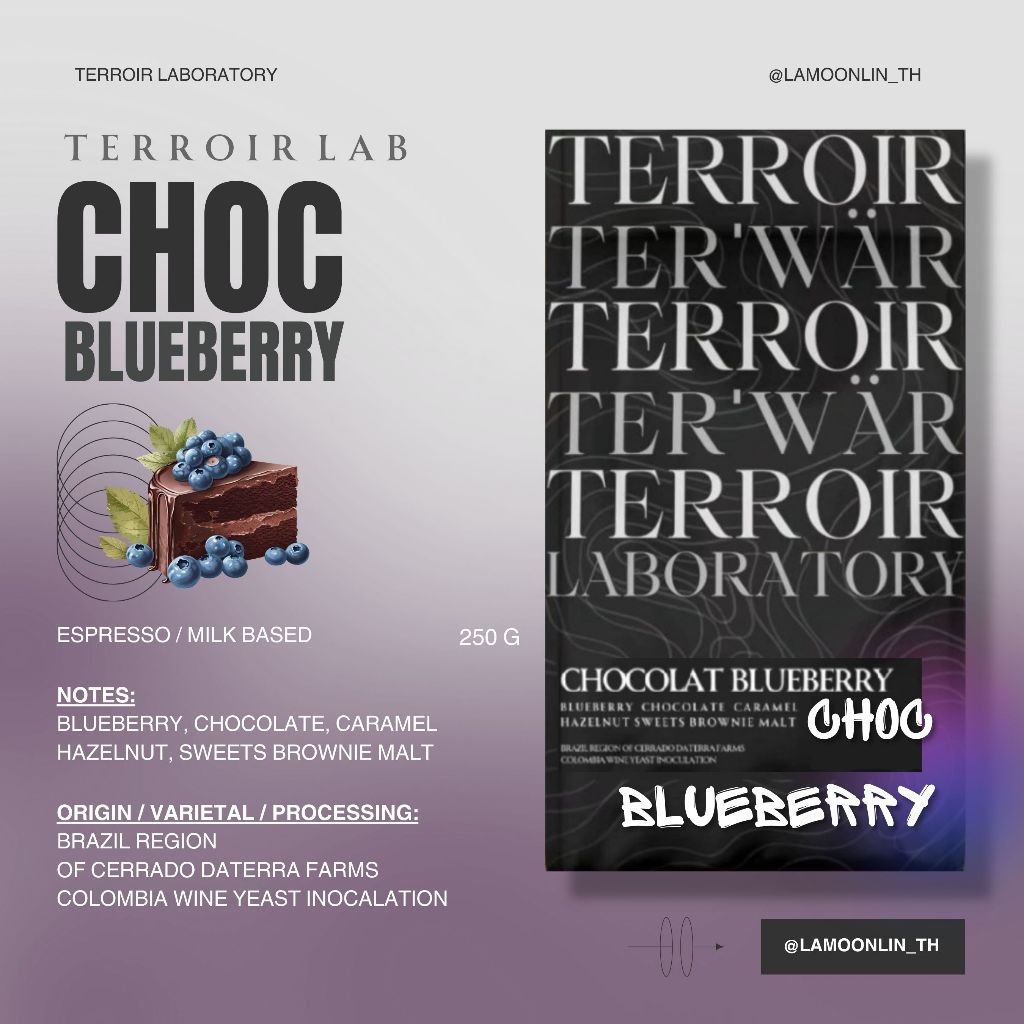 เมล็ดกาแฟ " Chocolate Blueberry " - Terroir Lab - Medium Roast - 250g.