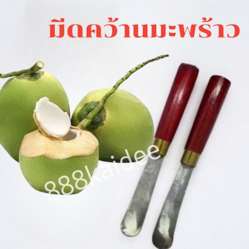 (สินค้ามีพร้อมส่ง)มีดคว้านมะพร้าว เอาเนื้อมะพร้าวอ่อน มีดสแตนเลส ด้ามไม้สีขาวคุณภาพสูง