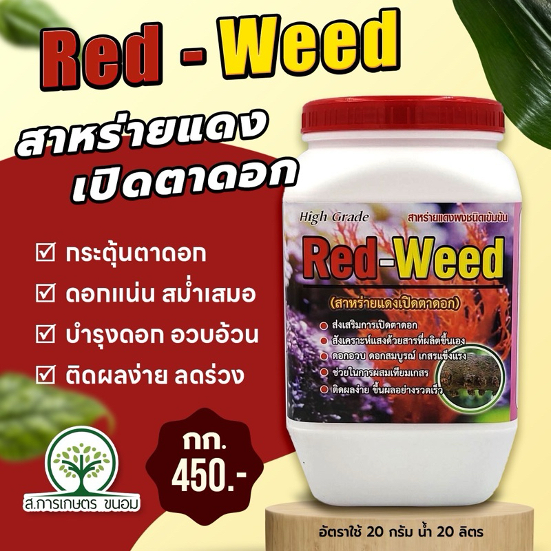 สาหร่ายแดง เปิดตาดอก 1 กก