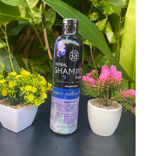 แชมพูอัญชันแท้1ขวด ปริมาณ300ml