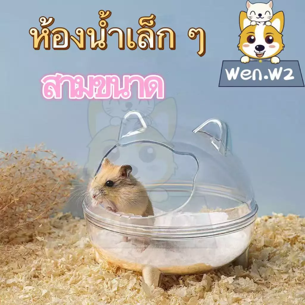 wen.W2 อ่างทรายอาบน้ำหนูแฮมเตอร์ thumbnail 10