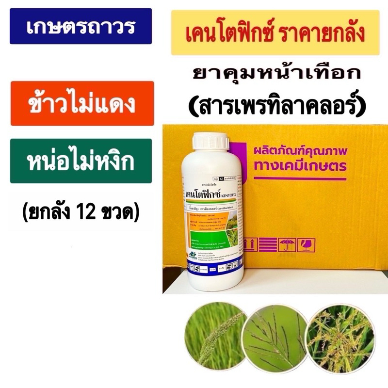 เคนโตฟิกซ์คือโซฟิต 🔥🔥ยกลัง (1ลิตรx12ขวด)สารเพรทิลาคอร์ คุณภาพดีจาก บริษัท เคนโซ่