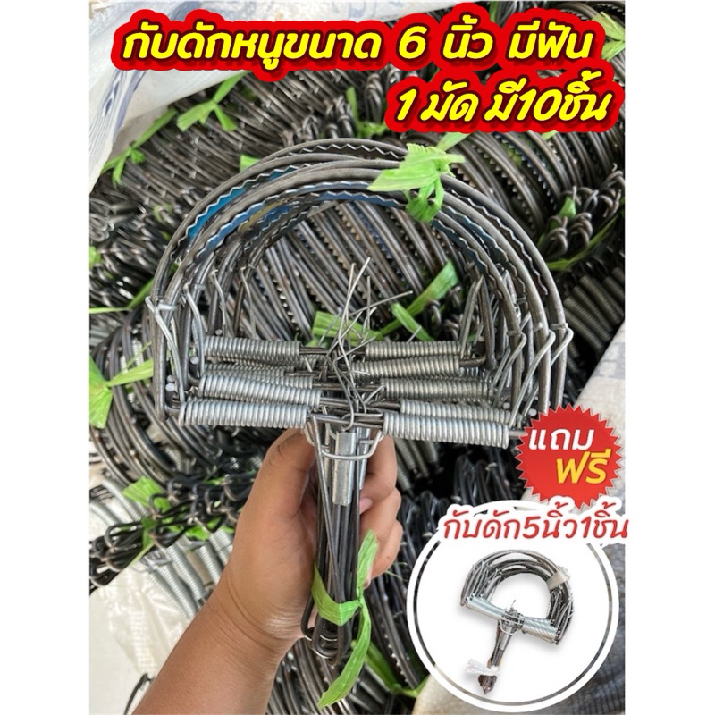 กับดักหนูมีฟัน 6นิ้ว (1มัด10ชิ้น) แถมฟรีกับ5“1ชิ้น