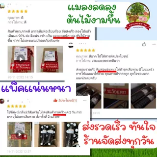 น้ำส้มควันไม้ 600ml. จากไม้สะเดาแท้100% ดับกลิ่น ไล่แมลงศัตรูพืช เห็บ หมัด ไร เชื้อรา **หยกเพชรฟาร์ม**