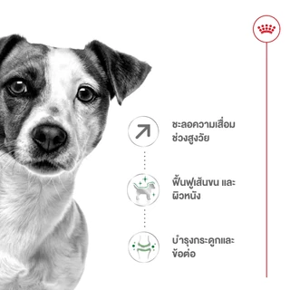 [EXP6/2027] Royal canin Mini adult 8+ 8 กก. อาหารสุนัขสูงวัย 8 ปีขึ้นไปพันธุ์เล็ก