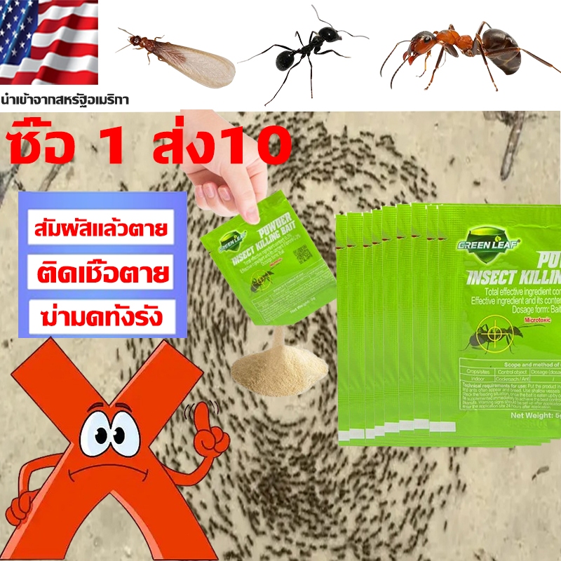ยาฆ่ามด ฆ่ามดดำ กำจัดมดตายยกรัง ผงฆ่ามด ยาฆ่ามด ยากำจัดมด กำจัดมด ยกรัง ant killer