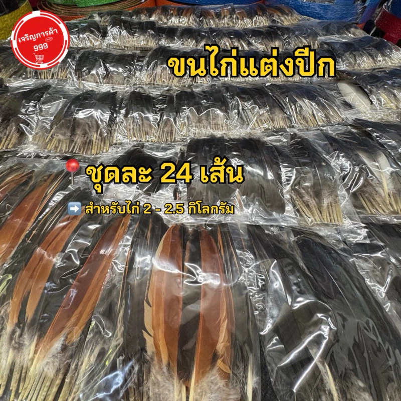 ขนต่อปีกไก่ สำหรับต่อปีกไก่ ขนแต่งปีกไก่ #ขอต่อปีก
