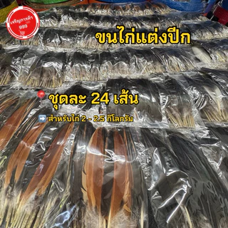 ขนต่อปีกไก่ สำหรับต่อปีกไก่ ขนแต่งปีกไก่ #ขอต่อปีก