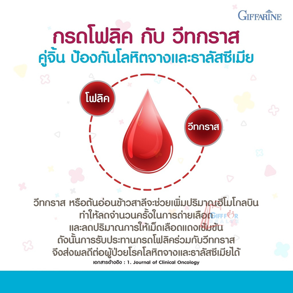 บำรุงเลือด โฟลิค นูทริโฟลิค กิฟฟารีน Giffarine Nutri Folic วิตามินบี12 โฟลิก acid สร้างเม็ดเลือด รูปที่ 5