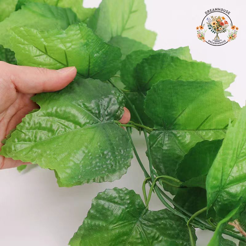 รูปภาพ 2