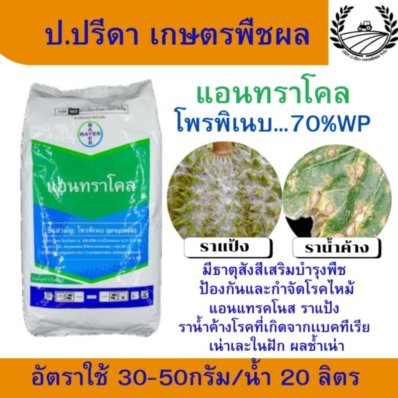 แอนทราโคล ขนาด 500 กรัม (Antracol)ชื่อสามัญ:โพรพิเนบ (propineb)สูตร:70% WPเนื้อ ละลายน้ำได้ดี ไม่อุดตันหัวฉีด ยาเชื้อรา