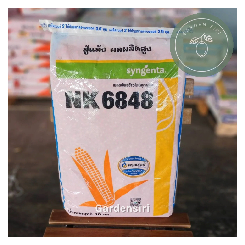 เมล็ดพันธุ์ข้าวโพดเลี้ยงสัตว์ NK 6848 ขนาด3.5หุน 10kg. สู้แล้ง ผลผลิตสูง