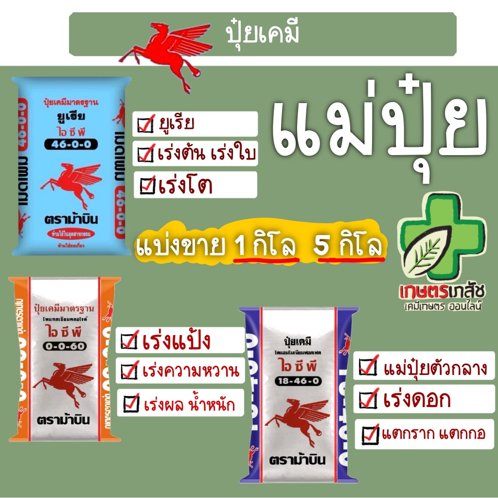 แม่ปุ๋ย แบ่งขาย กิโล ตราม้าบิน