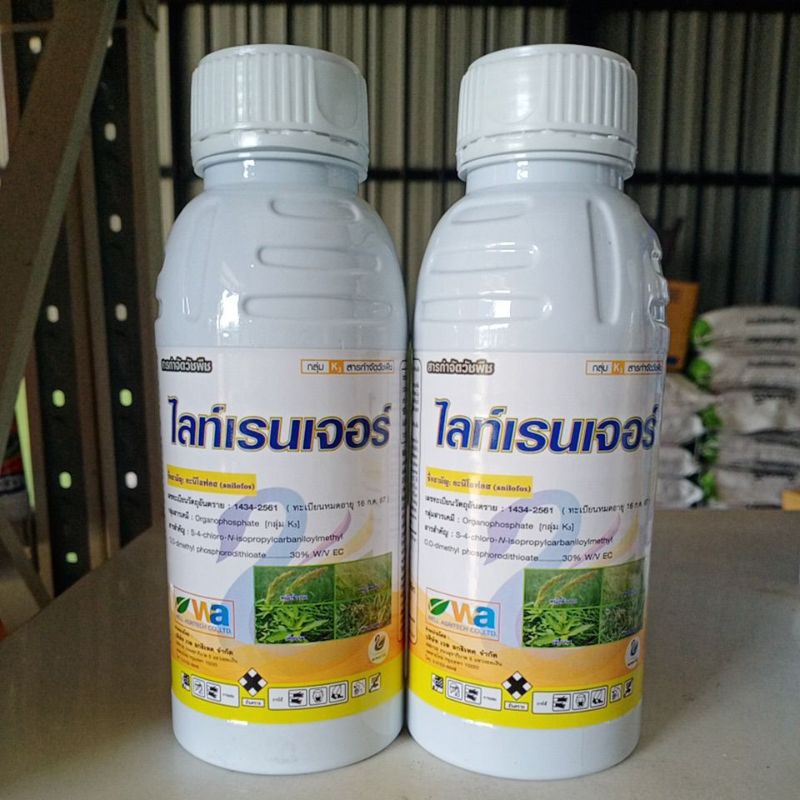 ไลท์เรนเจอร์ ขนาด 500 ซีซี, 250 ซีซี