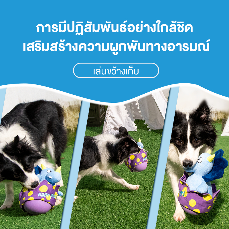 MOMOVIDA  ของเล่นใส่อาหารสัตว์เลี้ยง ของเล่นไข่ไดโนเสาร์ ของเล่นฝึกสุนัข ของเล่นมีเสียง ฝึกทักษะสัตว์เลี้ยง รุ่น DT-4 - รูปที่ 5