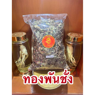 ทองพันชั่ง สมุนไพรทองพันชั่ง ทองพันชั่งแห้ง สมุนไพรพันชั่ง