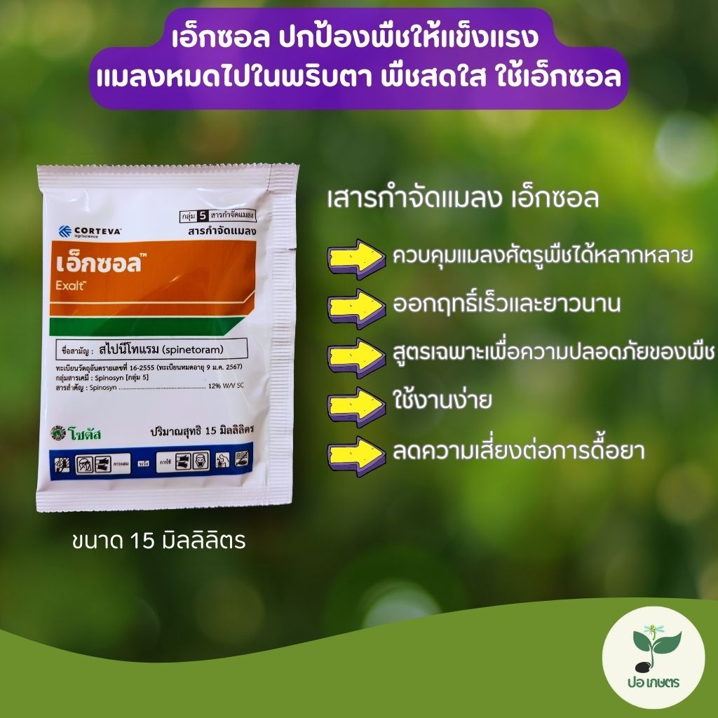 เอ็กซอล (15 มล.) [สไปนีโทแรม] สูตรปลอดภัย กำจัดเพลี้ยไฟ หนอนใยผัก ออกฤทธิ์ทันที ป้องกันแมลงได้ยาวนาน