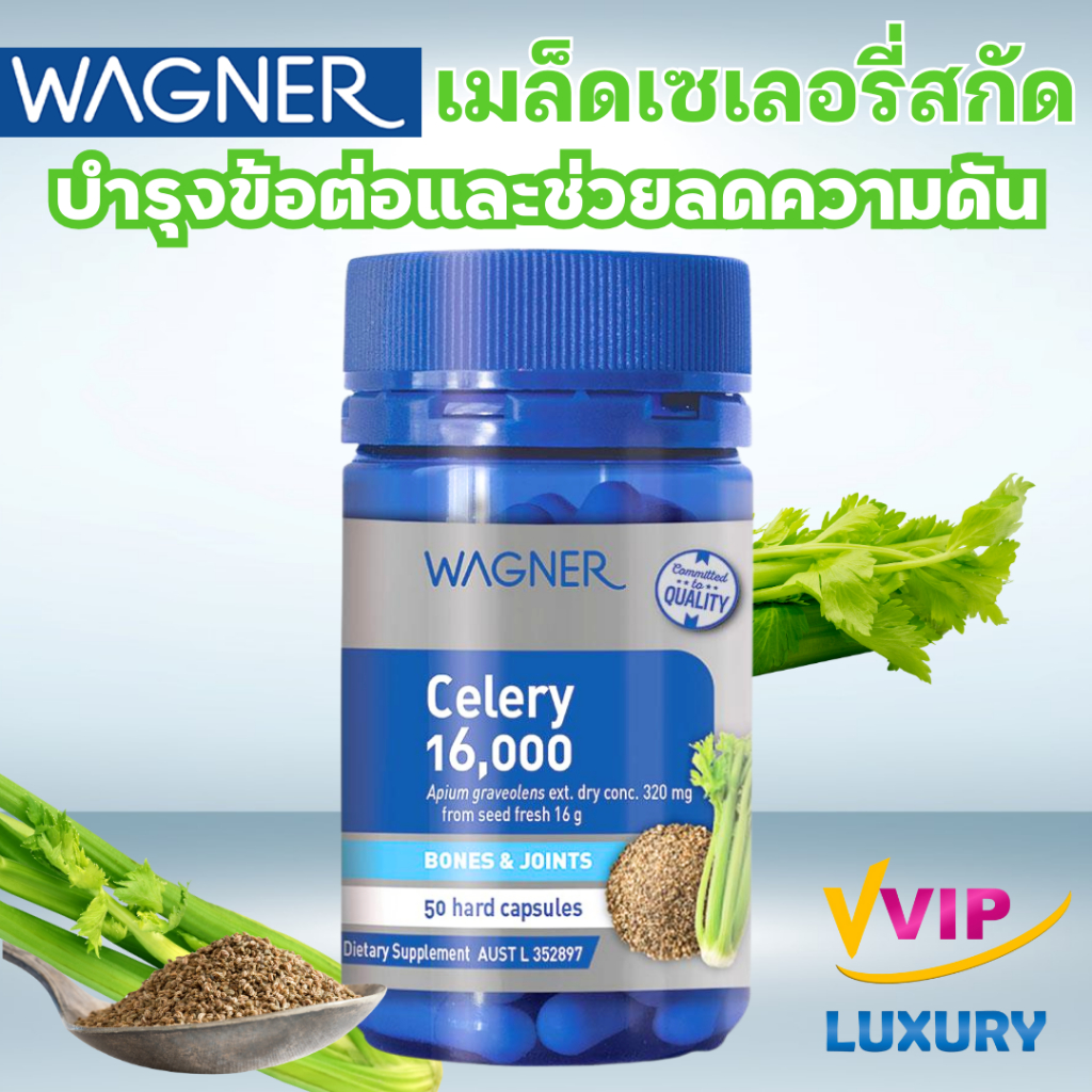 exp05/2027 เมล็ดเซเลอรี่บำรุงข้อ Wagner Celery 16000mg 50 Capsules