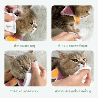 80pcs สัตว์เลี้ยงเช็ดสุนัขเช็ดแมวเช็ดทำความสะอาดเนื้อเยื่อมัลติฟังก์ชั่นเนื้อเยื่อเปียกสำหรับการทำค