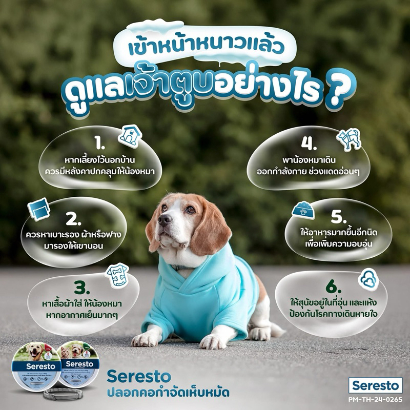 Seresto 70 cm. สำหรับสุนัข นน. 8 กิโลกรัมขึ้นไป ปลอกคอกันเห็บหมัด (Exp.03/2028)