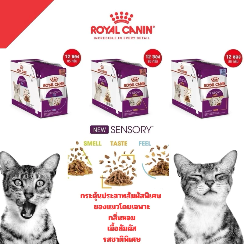 ROYAL CANIN อาหารเปียก SENSORY สัมผัสพิเศษ อาหารแมว 85กรัม * 12 ซอง