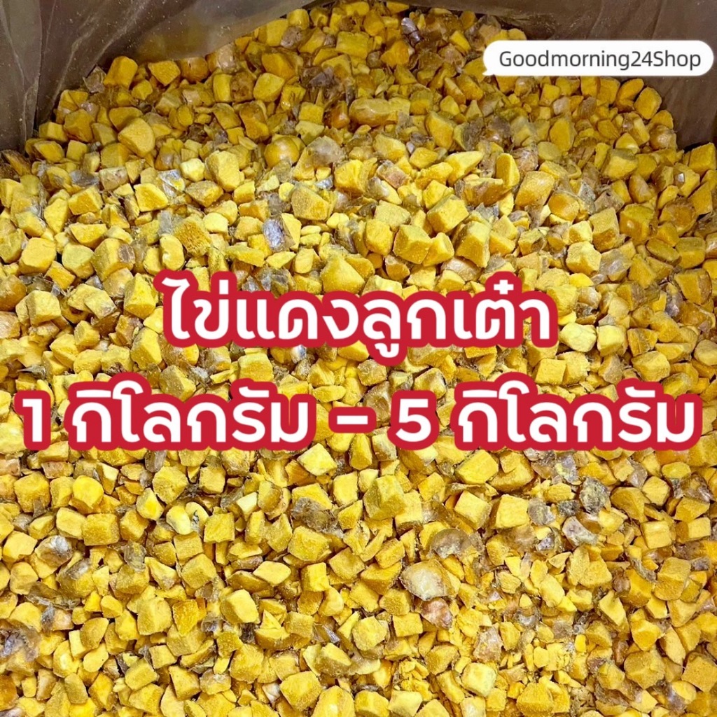 GMN ฟรีซดรายไข่แดง ขนาด 1กิโล-5กิโล ขนมแมว ขนมหมา สดใหม่ สุดคุ้ม น้ำหนักเต็มปริมาณ ต้นอ่อนข้าวสาลีผสมอกไก่
