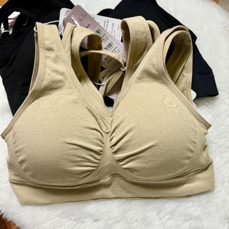 เสื้อชั้นใน ซาบีน่า ฟรีไซส์ sabina ตะขอ  freesize sbxa890  happy bra