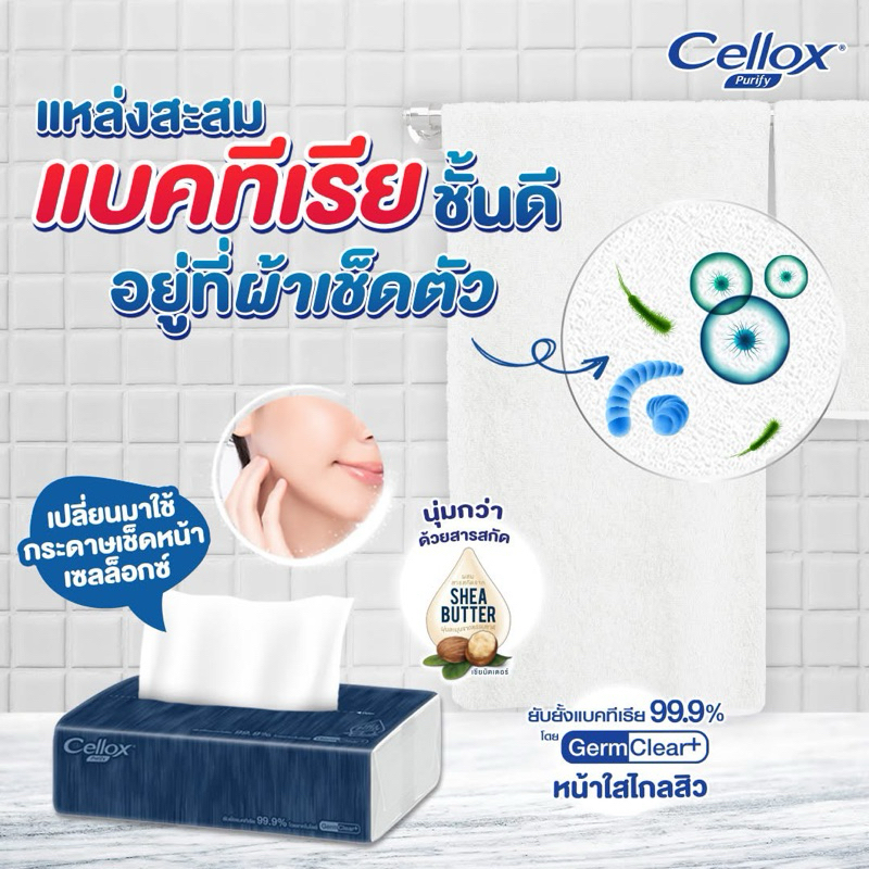 New❗️[4ฟรี1] Cellox เซลล็อกซ์ เดคคอร์+ซาติน กระดาษเช็ดหน้า 1แพค/5 ห่อ - รูปที่ 4