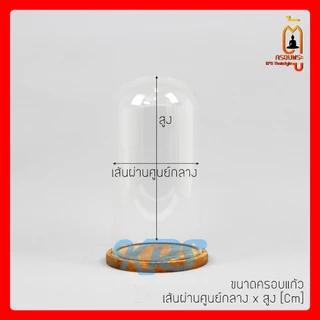 โดมแก้วกลมใส ขนาดเล็ก ขนาดกลาง ครอบแก้วฐานไม้ GlassDome Display ตู้ครอบพระ KPSThaistyle