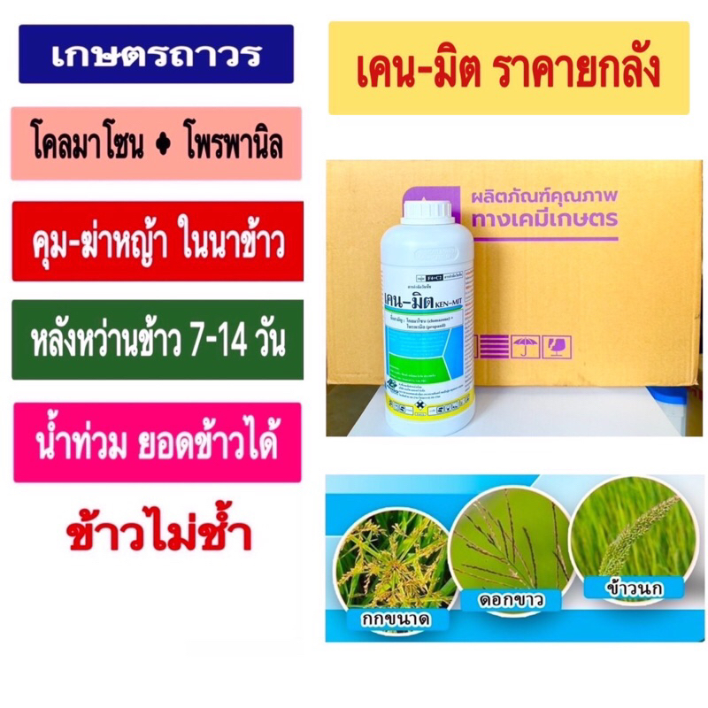 เคน-มิต🔥🔥ยกลัง (1ลิตรx12)สารโคลมาโซลบวกโพรพานิลจากเคนโซ ตัวเดียวกับ แกมิตใช้คุมฆ่าหญ้า ในนาข้าว ช่วง 7-15 วัน
