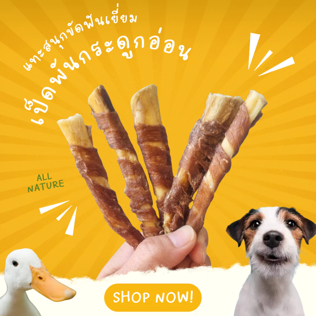 Chicken / Duck wrapped in cartilage ไก่/เป็ดพันกระดูกอ่อนวัว 100g กระดูกขัดฟัน ขนมสุนัข Umm ขนมหมา