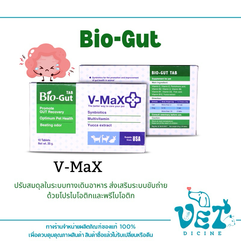 V-max Bio Gut ช่วยระบบทางเดินอาหาร ช่วยแก้ปัญหาท้องเสีย บรรจุ 10 เม็ด