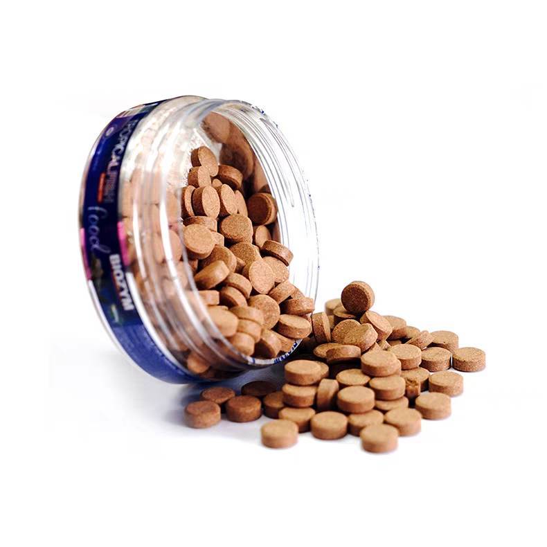 🐳🐳🐳อาหารปลาแบบติดกระจกตู้ปลา ใช้ได้กับปลาขนาดเล็ก ขนาดใหญ่ทุกชนิด แบบแปะกระจก🐳🐳 พร้อมส่งนะคะ🐳