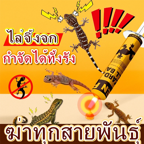 ✅กำจัดจิ้งจก ตุ๊กแก✅ไล่จิงจก ยาฆ่าตุ๊กแก ยาไล่จิ้งจก ไล่จิ้งจก 10g ฆ่าตุ๊กแกโดยเฉพาะ ยาฆ่าจิ้งจก จิ้งเหลน