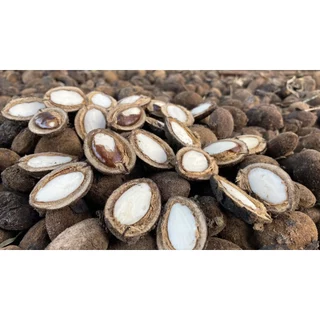เม็ดกระบก เกรดพรีเมียม คัดเกรด มีแบบดิบและแบบคั่วสุก หอม มัน กรอบ อร่อย